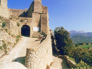 Lees meer over het artikel Poët-Celard en zijn kasteel (wandeling)