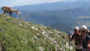 Lees meer over het artikel Gr 91 naar plateau de Glandasse, Chatillon-en-Diois, tweedaagse wandeltocht