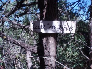 Lees meer over het artikel Les Crevasses (kloof) van Chantemerle-les-Grignan, Wandeling